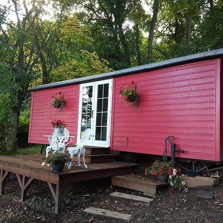 Borthwickbrae Shepherd'S Hut Гоік Екстер'єр фото